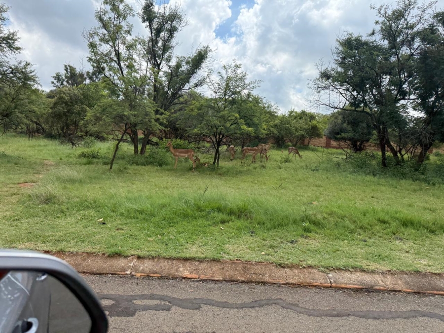 0 Bedroom Property for Sale in Buffelspoort Eco Estate North West